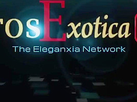 African Ebony Love Affair