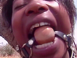 African safari interracial groupsex orgy